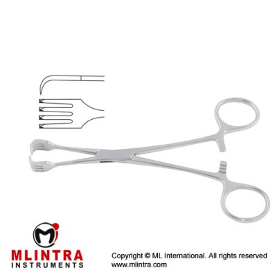 Braun Tenaculum Forcep Stainless Steel, 16 cm - 6 1/4"